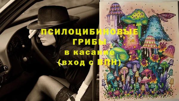 прущая мука Алексин