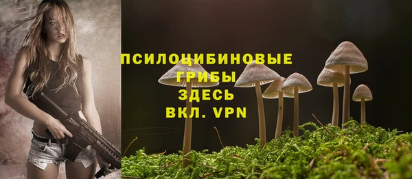 мет Россошь
